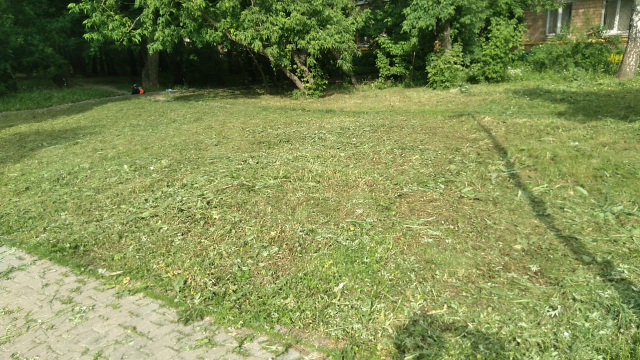 Во дворе на Ленинградке выкосили выросшую траву