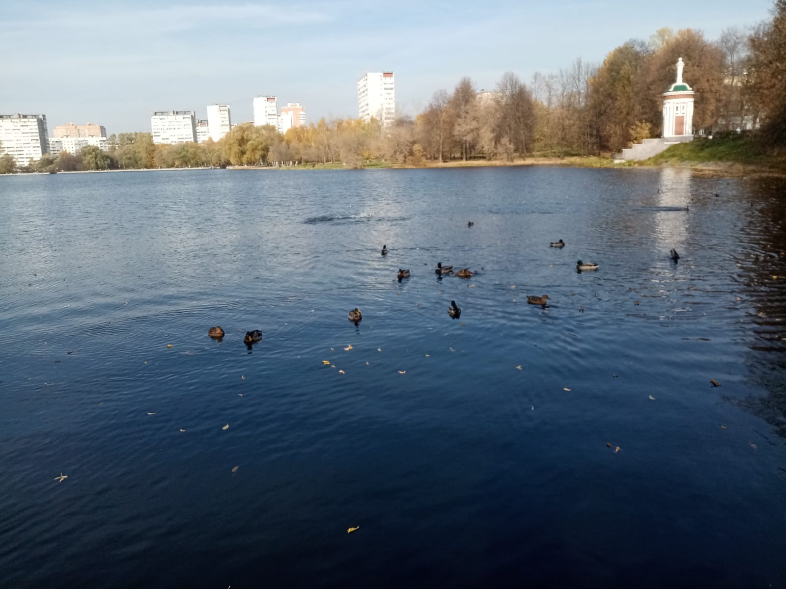 головинский пруд в москве